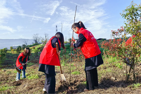 投身植树护绿环保行动。中国银行重庆市分行供图