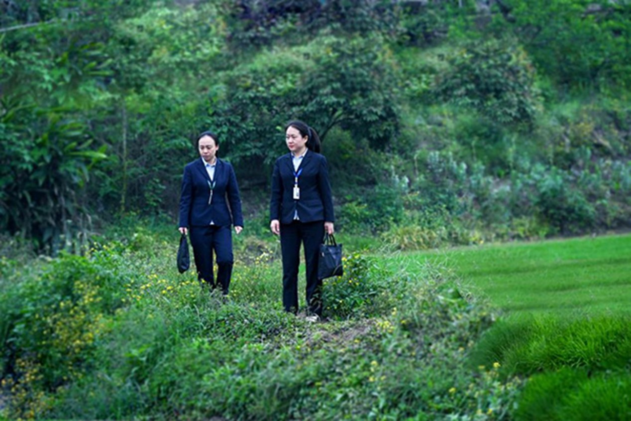 走访调研农作物种植情况。邮储银行重庆分行供图