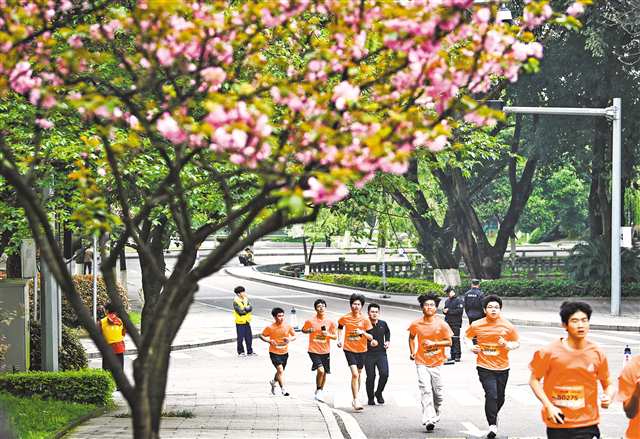 　3月29日，第八屆重郵人馬拉鬆比賽舉行，參加馬拉鬆的師生奔跑在櫻花樹下。記者 鄭宇 攝/視覺重慶