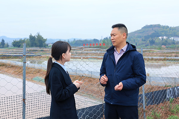 農行工作人員實地調研基地規模。向詩佳攝