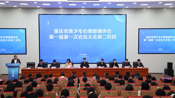 活动现场。主办方供图