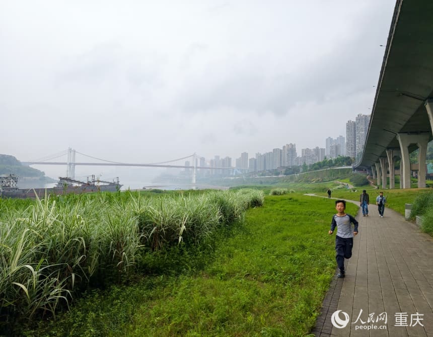 九滨路滨江步道绿意盎然，市民沿着步道慢跑、散步，身旁是修复后的江滩草甸。人民网 陈琦摄