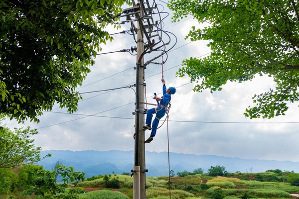 電力人員開展架空線路隱患整改工作。國網重慶永川供電公司供圖