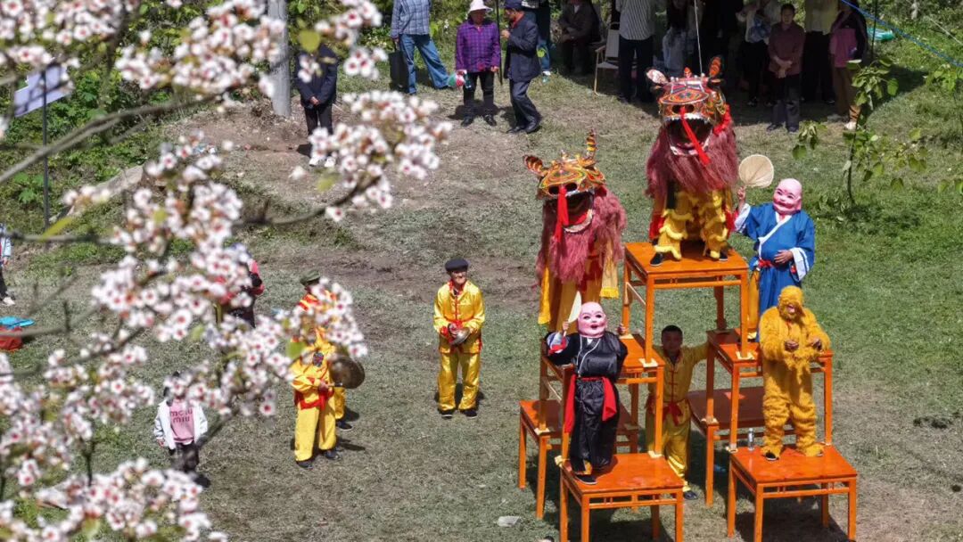 鞠芝勤摄