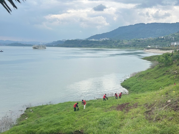 志愿者在长江边清理垃圾。景区供图