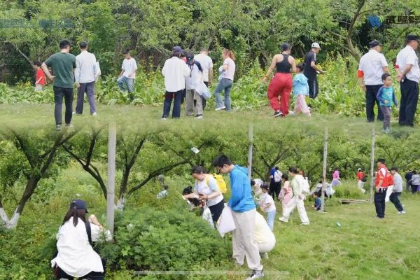 碧桂园服务“碧邻耍事节”第二季收官