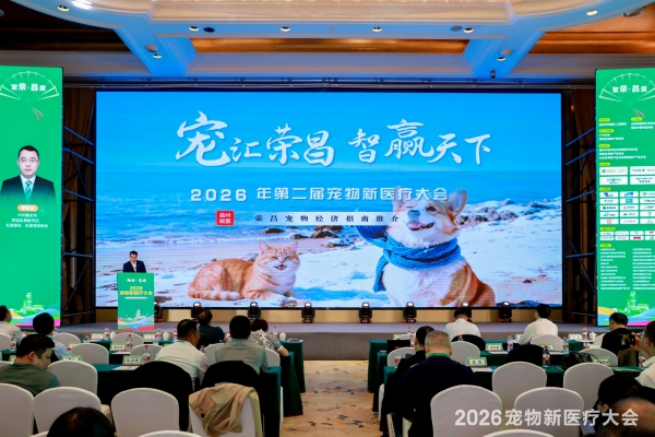 大會現場。主辦方供圖