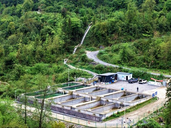 养殖基地。重庆鑫酉水资源开发公司供图