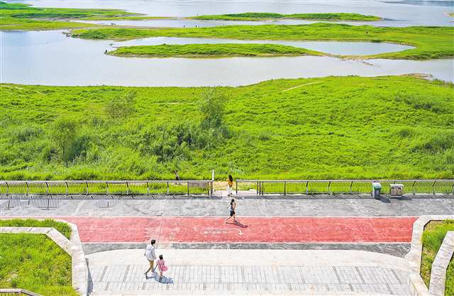 珊瑚公園濱江步道