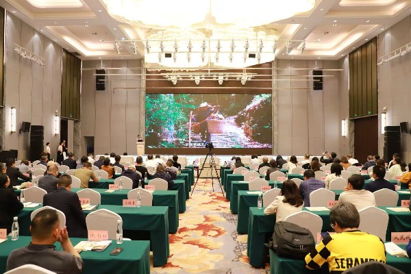 发布活动现场。云阳县委宣传部供图