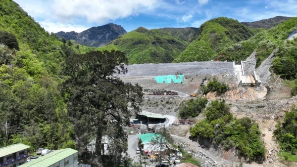 千年油杉傲然挺立，其上游庙堂水库正火热建设。巫山县融媒体中心供图