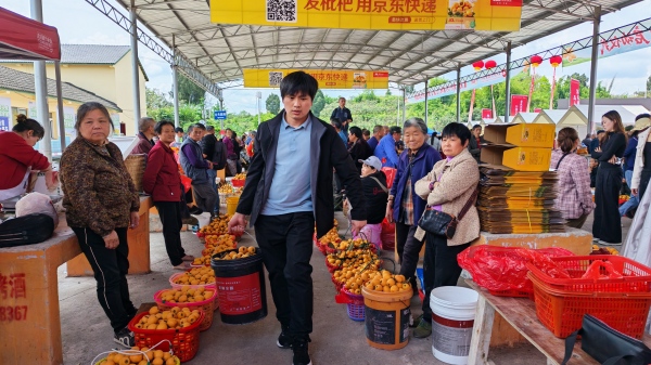 合川区古楼镇枇杷交易市场，一箱箱、一筐筐枇杷，正通过电商物流发往全国。合川区委宣传部供图