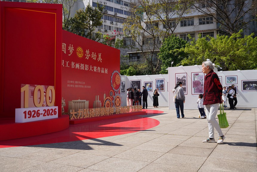 活动现场。主办方供图