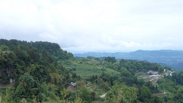 重庆市綦江区横山镇丘陵地貌。重庆智慧农服集团供图