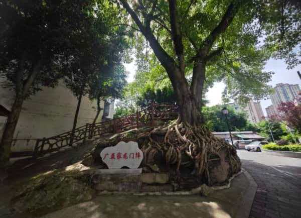 “广益家龙门阵”成为居民休闲娱乐之地。费雪摄