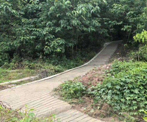 修复后的上山道路。科学城城建集团供图