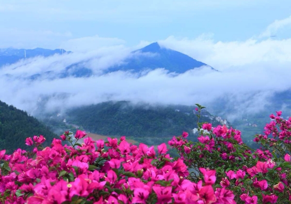 雨后的武陵山风景怡人。主办方供图