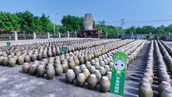 大足冬菜博物馆。大足区融媒体中心供图