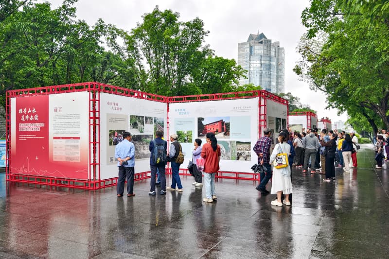 展覽現場。主辦方供圖