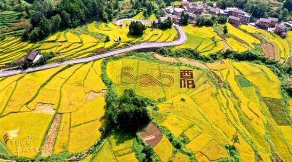 酉陽800品牌。酉陽農委供圖