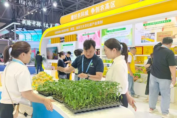 潼南展馆对接交流现场。潼南区融媒体中心供图