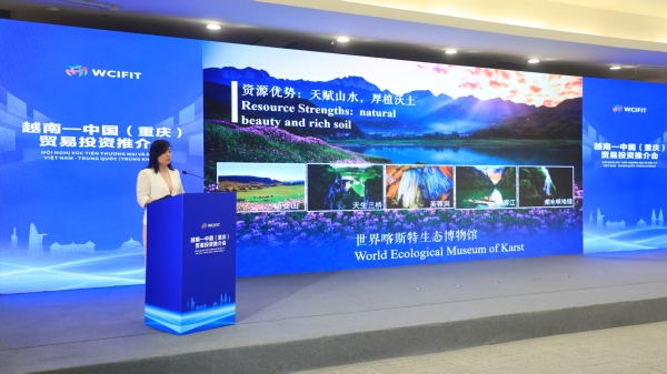 武隆区受邀参加越南—中国（重庆）贸易投资推介会。武隆区委宣传部供图