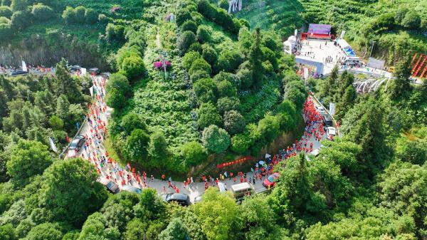 往届欢乐跑现场（资料图）