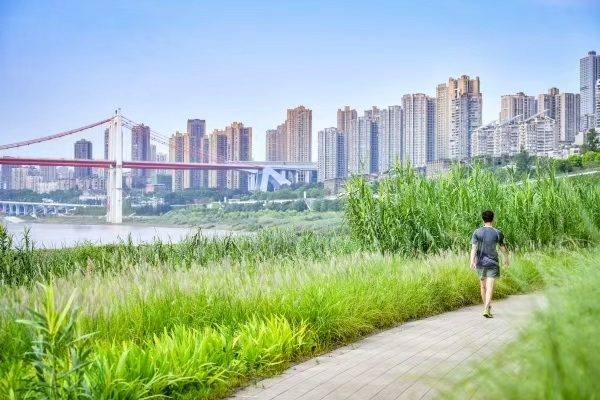 市民在水草豐美的九龍濱江步道上健走鍛煉。九龍坡生態環境局供圖