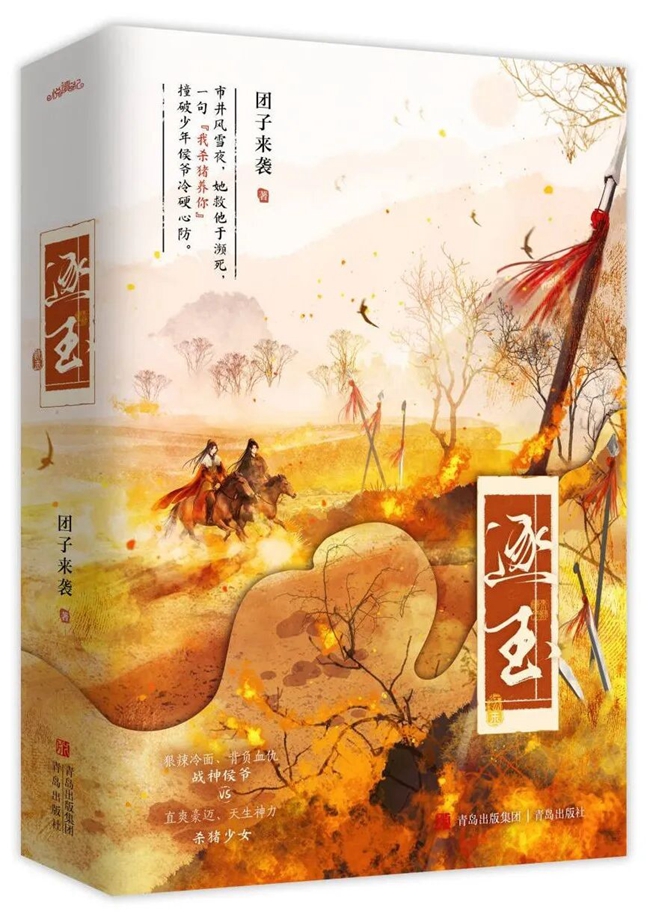 《逐玉》书封。受访者供图