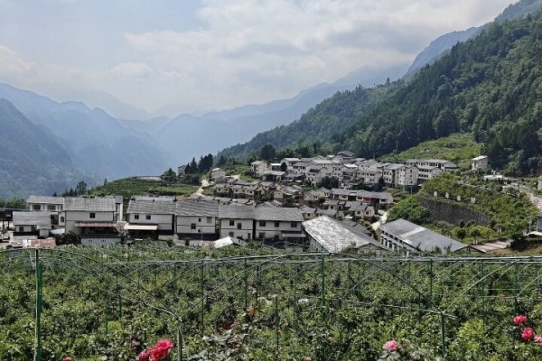 茶山村风光。农行重庆分行供图