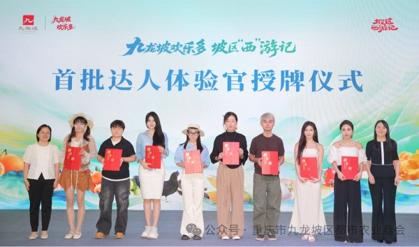 活动现场。主办方供图