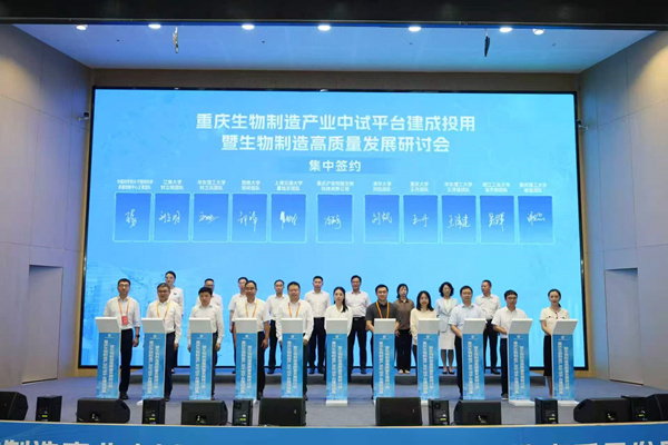 活动现场。主办方供图