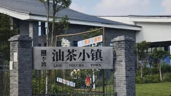 李渡街道油茶小镇。李渡街道供图