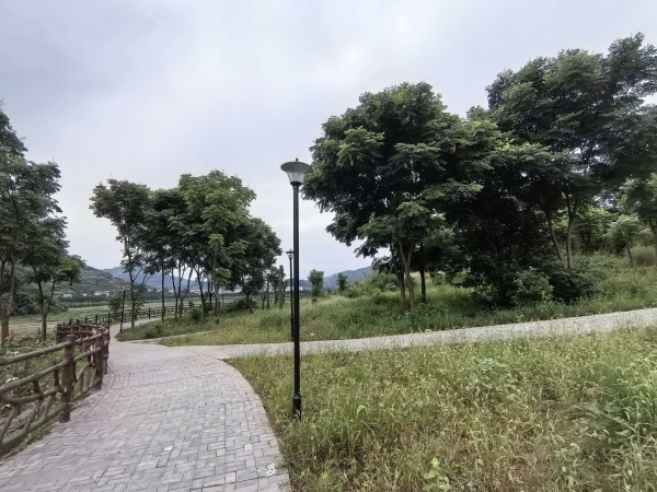 闲置荒地变身滨河公园。赵家街道供图