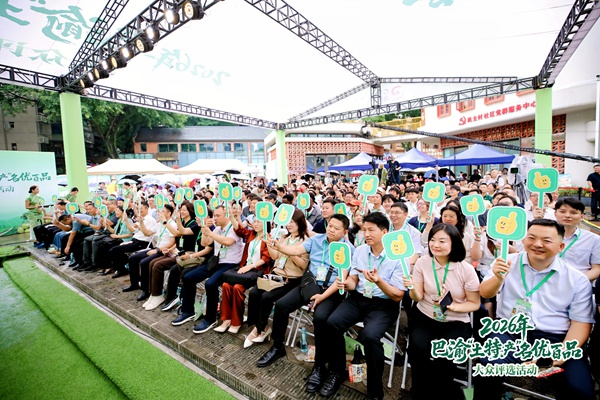 每个推介结束后,大众评审进行实时投票,专业专家进行评审打分。主办方供图
