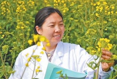 黄桃翠在油菜试验田里记录数据。重庆市农业科学院供图