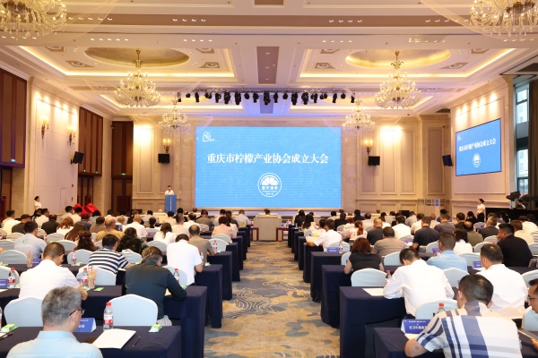 重庆市柠檬产业协会成立大会现场。潼南区委宣传部供图