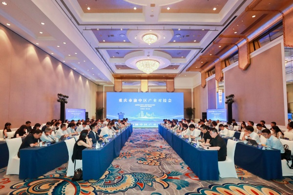 渝中区产业对接会。王欢摄