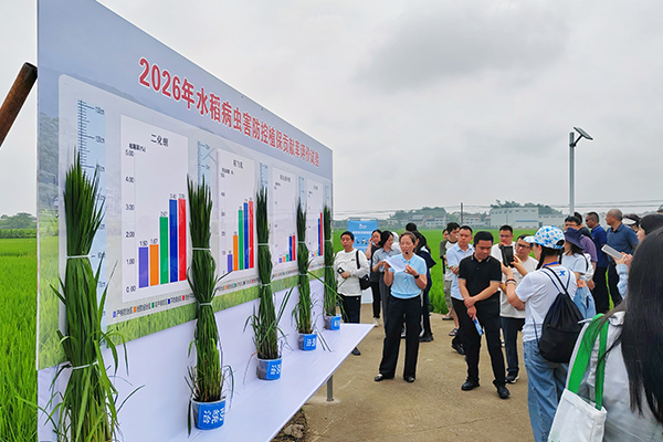 全市各区县植保技术骨干齐聚田间。市种子站供图