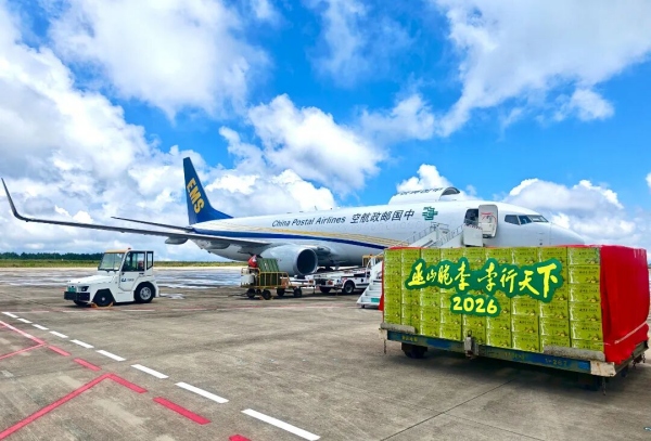 巫山脆李邮政航空专机。中国邮政重庆市巫山县分公司供图