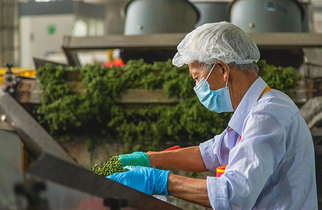 工人处理青花椒。工行重庆江津支行供图