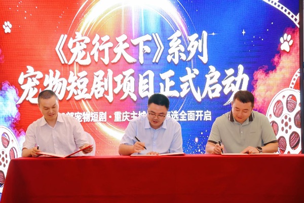 发布会现场图。主办方供图
