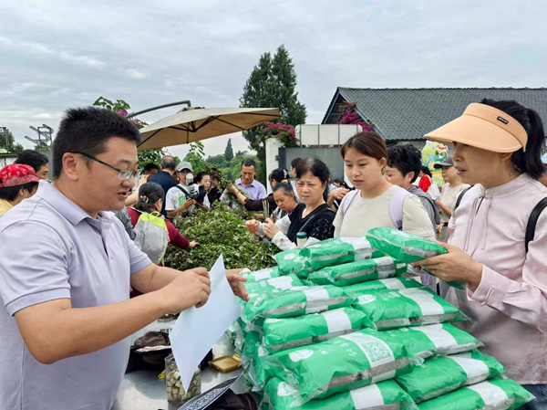 少云镇艾草产业迎来热销。铜梁区委宣传部供图