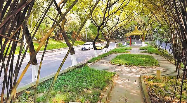 渝中区两路口街道的南区公园路街景。记者 左黎韵 摄/视觉重庆