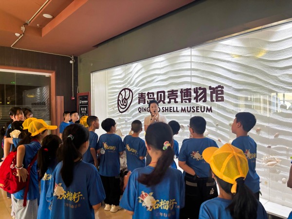 孩子们参观青岛贝壳博物馆。活动主办方供图
