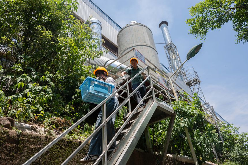 7月15日，两江新区一工业园区内，监测人员带着样本返回实验室。记者 崔力 摄