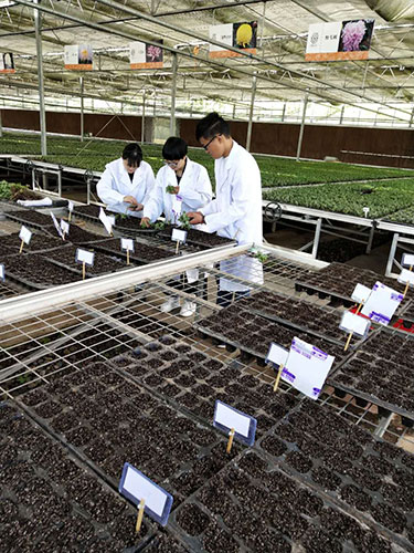 科研团队育苗中。工行重庆市分行供图