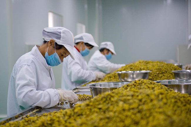企业生产中。工行重庆市分行供图