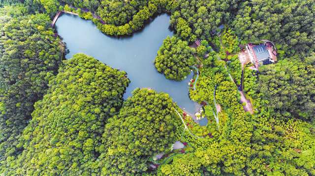 縉雲山水·溫泉民宿旅游線。（北碚區委宣傳部供圖）