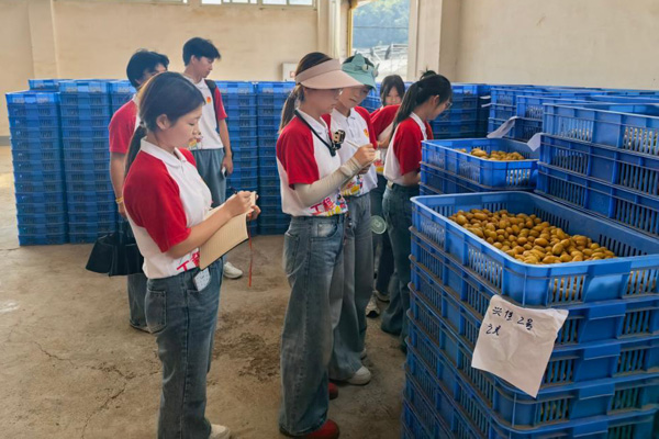 大学生田间地头开直播 助巫溪洋芋走出深山